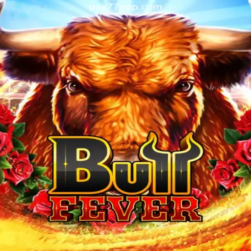 Discover BullFever: The Thrill of the Casino Experience