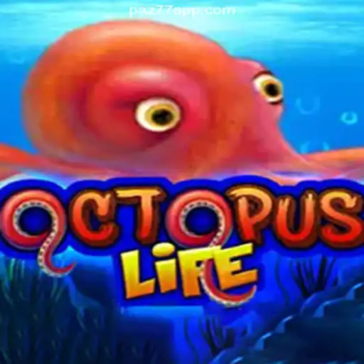 Exploring OctopusLife: A Dive Into Brazil's Best Online Casino Experience