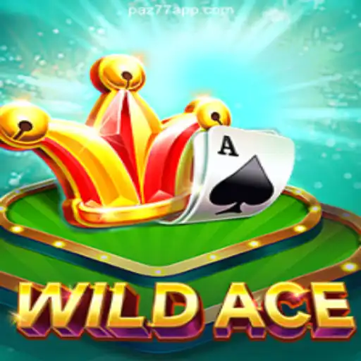 Exploring the Thrill of WildAce: The Ultimate Online Casino Experience